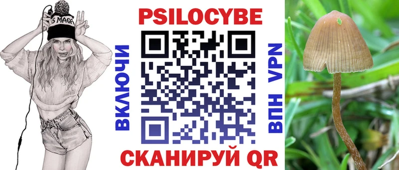 Псилоцибиновые грибы MAGIC MUSHROOMS  Опочка 